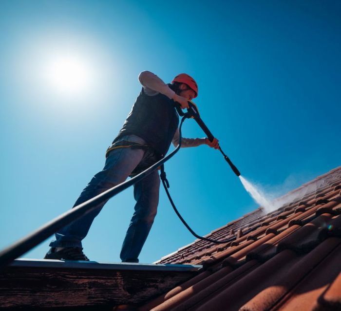 tetotisztitas-rolunk-2 tetőtisztítás rólunk