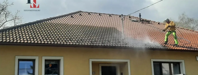 tetőtisztítás