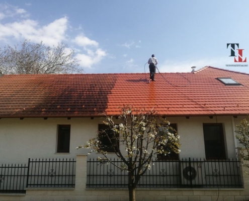 tetőtisztítás