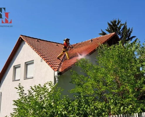 tetotisztitas-xii-3 tetőtisztítás